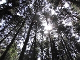自然との調和