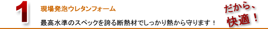 現場発泡低密度ウレタンフォームウレタン断熱システム〈フォームライトSL〉