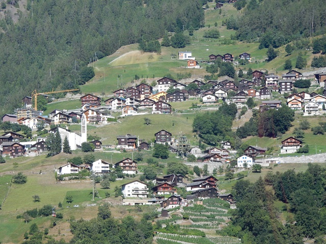 DSCN5333