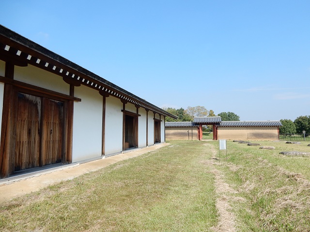 DSCN8475