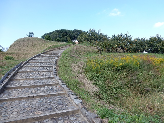 DSCN8406