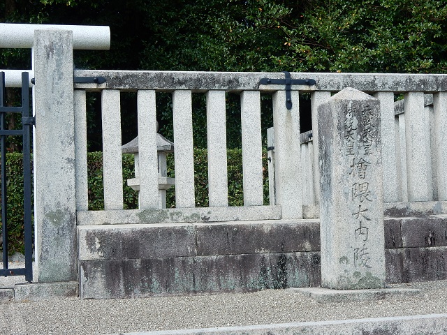DSCN8418