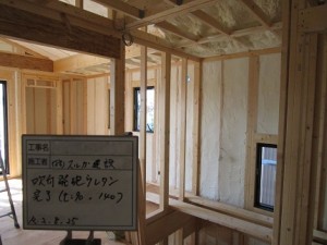 IMG_8986