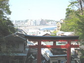 IMG_1590.jpg