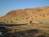 IMG_3719.jpg