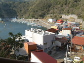 DSCF1139.jpg
