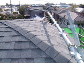 pict0603.jpg
