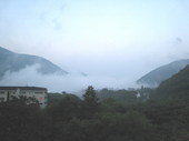 IMG_5336.jpg