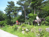 IMG_5378.jpg