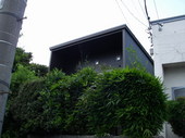 IMGP3262.jpg