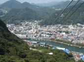 IMG_6017.jpg