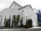 P6050010.JPG
