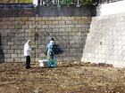 IMG_5183.JPG