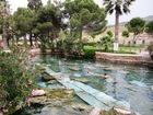 IMG_5739.JPG