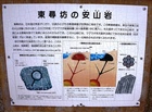 DSC01796.JPG