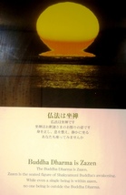 DSC01856.JPG