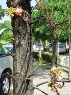 DSC00906.JPG