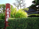 DSC01844.JPG