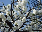 DSC02472.JPG