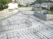 2006_11_25-1.jpg
