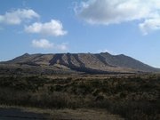 2006_3_25_1-1.jpg