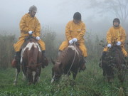 2007_10_05_2.jpg