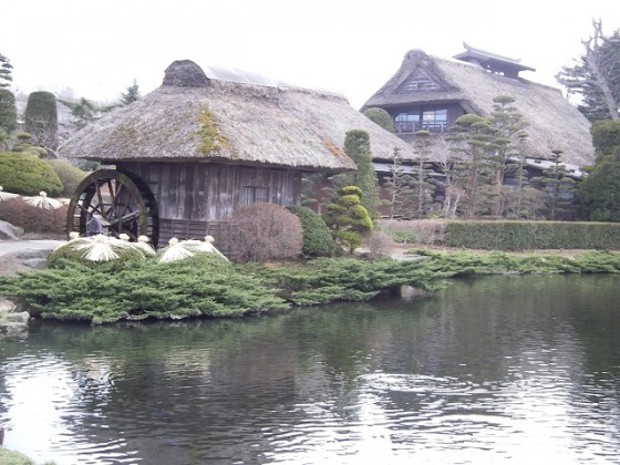 忍野八海　－　天然記念物