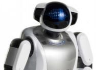 ロボット化されていく世の中、家づくりもロボットされますかね？