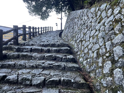 紀伊山地の霊場と参詣道　-熊野古道-