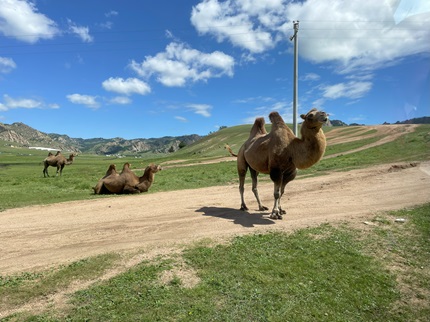 　遊牧の文化　―モンゴルの原風景―