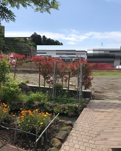 ペットと暮らすバリアフリー・デザイナーズハウス（横浜市）着工