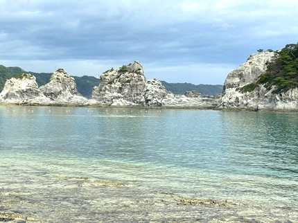 浄土ヶ浜　―　三陸復興国立公園